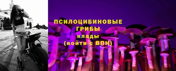 спиды Абинск