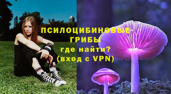 дмт Абдулино