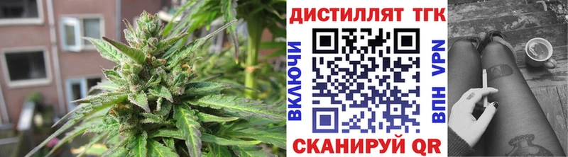 где продают наркотики  Александров  ТГК вейп с тгк 