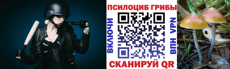 omg ТОР  где купить наркотик  Александров  Псилоцибиновые грибы мухоморы 